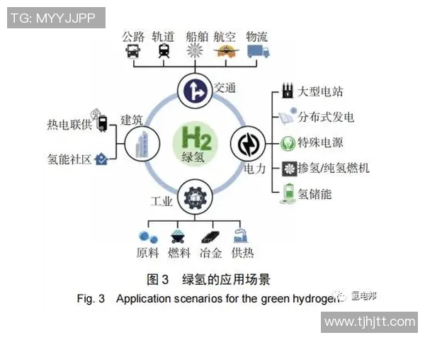 广州排球队实力解析：聚焦排球运动的未来发展与挑战