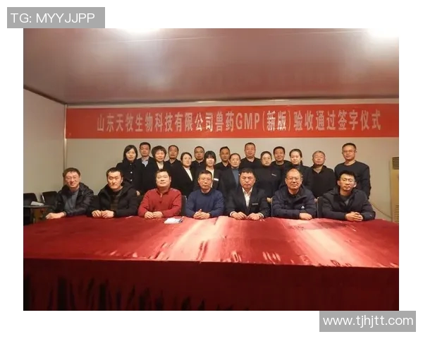 成都羽毛球队的奋斗与荣耀：城市联赛的精彩旅程与突破成就